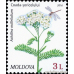 Марка. Шалфей. Одуванчик. Тысячелистник. Марка. Шалфей. Одуванчик. Тысячелистник.