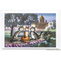 Вы такая красивая Вы такая красивая
